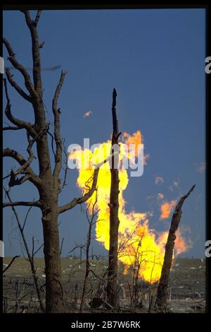 Brenham Texas USA, April 71992: Flame rises from leaking natural gas pipeline hours after the pipeline exploded, leveling a rural area outside of Brenham, killing one person and several cattle, and injuring a score of people. Stock Photo