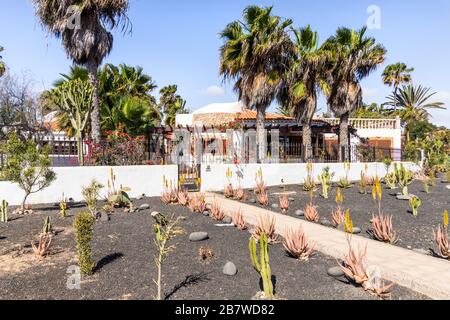 A property with a drought resistant front garden at Caleta de Fuste on the east coast of the Canary Island of Fuerteventura Stock Photo