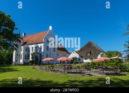 Manor house Hoyerswort with adjoining Haubarg, Witzwort community, landscape and peninsula Eiderstedt, North Frisia, Schleswig-Holstein, North Germany Stock Photo