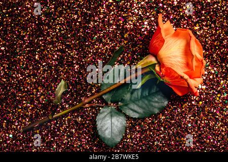 Orange rose on glittering background. Concept of love, celebration, event. Stock Photo