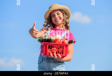Organic vegetables. Girl cute child farming. Gathering vegetables in basket. Village rustic style. Sunny day at farm. Selling homegrown food concept. Natural vitamin nutrition. Vegetables market. Stock Photo
