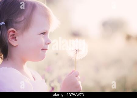 Little toddler girl in a white dress with a dandelion in hand Stock Photo