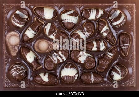 Chocolates shaped like seafood Stock Photo