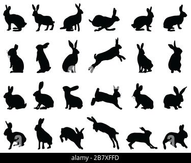 Black silhouettes of rabbits on white background Stock Photo