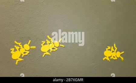 yellow painted ant on a gray wall. Ant climbing a wall. Colorful ants backgrounds. Local artists decorate the walls of the streets Stock Photo