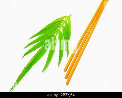 A picture of agarbatti Stock Photo