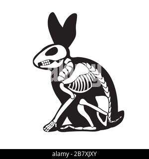 Hare is a black skeleton silhouette on a white isolated background. Vector image Stock Vector
