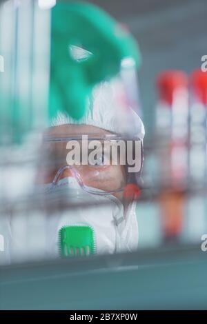 Virologist healthcare professional analyzing blood test sample in lab tubes, close up of medical worker working, selective focus Stock Photo