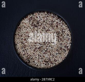 Quinoa photographed against a black background Stock Photo