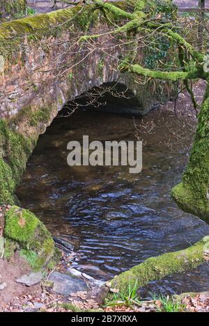 The footpath on the bank of the River Barle in Burridge Woods near ...