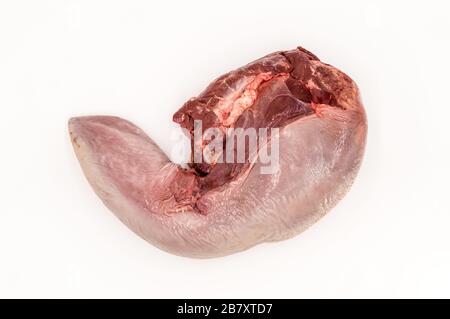 top view of a fresh beef tongue on a white background Stock Photo