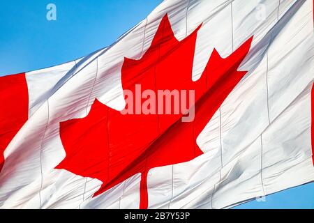 A close-up view of a large Canadian Flag shows the famous red maple leaf symbol on a white background, rippling as it blows in the wind. Stock Photo