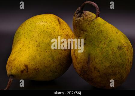 Two pears aging Stock Photo