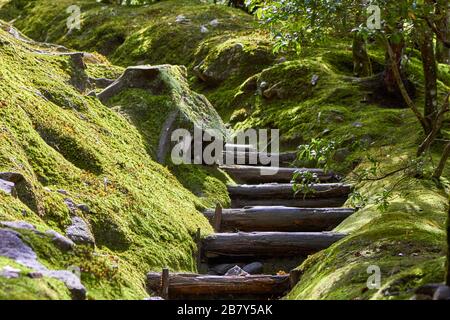 Hidden path in mysteriuos Japanese garden Stock Photo