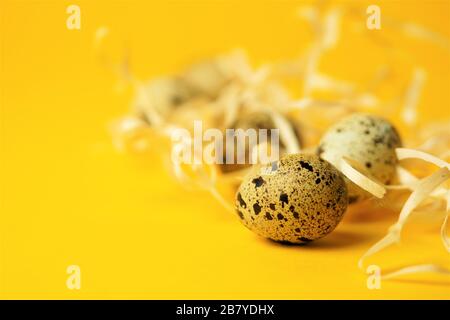 Quail eggs in straw close-up on a yellow background.Easter holiday symbol.Easter greeting card,copy space.Macro photo. Stock Photo