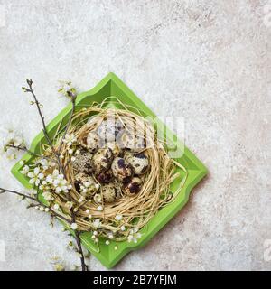 Quail eggs in wooden basket and blooming branches on light textured background. Easter holidays background. Top view with copy space. Stock Photo