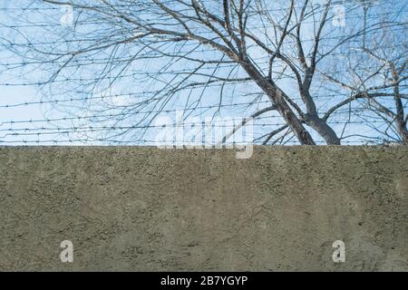 Gray concrete wall with barbed metal wire on a background of blurred wood and blue sky. Quarantine, isolation Corona virus. Stock Photo