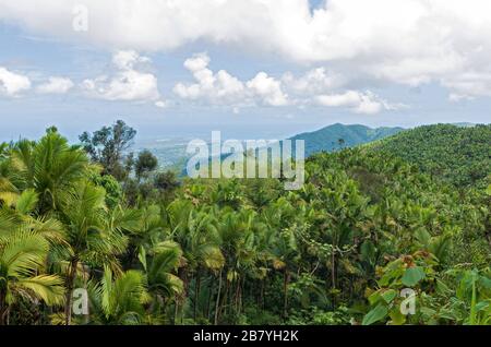 atop peaks of el yunque overlooking rainforest with atlantic ocean in distance Stock Photo