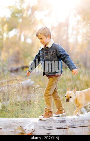 Boy and pet French bulldog walking on fallen tree Stock Photo