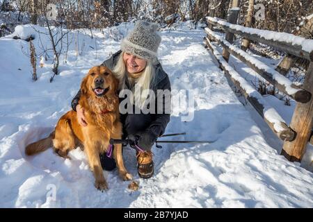 Smiling senior woman petting dog in snow Stock Photo