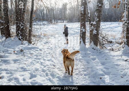 Senior woman walking with dog through snow Stock Photo