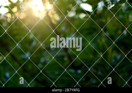 Transparent safety net. Child and pet protection net. For balcony and windows. Made of nylon threads. Front view. Rhombus pattern texture. Stock Photo