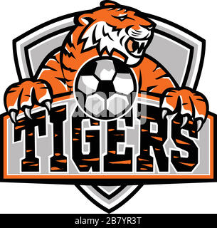 Sports mascot icon illustration of a tiger with soccer football ball viewed from front set inside shield, crest or badge with text Tigers on isolated Stock Vector