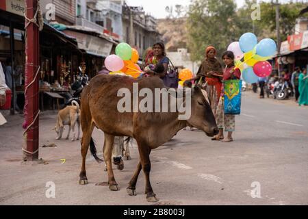 Eklingji, India - March 15, 2020: Street life scene in rural India, with children selling balloons, cows roaming around and market vendors Stock Photo