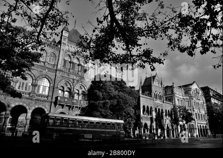 Elphinstone College, David Sassoon Library, Army and Navy Building, Esplanade Mansion, Kala Ghoda, Fort, Bombay, Mumbai, Maharashtra, India, Asia Stock Photo