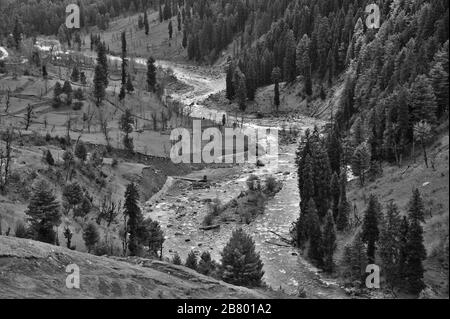 Lidder River, Lidder valley, Pahalgam, Kashmir, Jammu and Kashmir, India, Asia Stock Photo