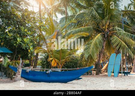 Surfboards set vertically with their elbows resting on a wooden stand in the sand at a surf station in Sri Lanka Hikkaduwa, and traditional fishing bo Stock Photo