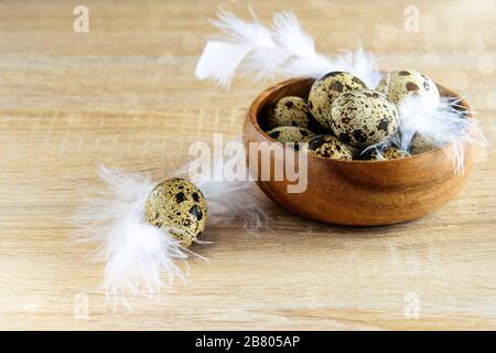 Quail eggs in the wooden bowl with white feathers on the wooden background. Healthy diet food. Stock Photo