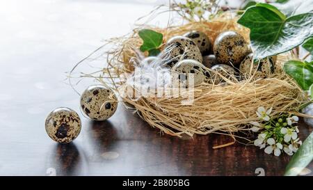 Quail eggs in the hay nest on the wooden background in the sun lights, decorated with flowers, feathers and green. Stock Photo
