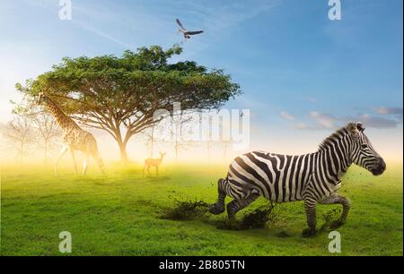 Conceptual image of common African safari wildlife animals meeting together around a tree. Wildlife conservation concept. Stock Photo