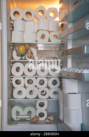 A supply of toilet paper , stored in the refrigerator with garlic, lemon , and ginger. A funny photo. Stock Photo