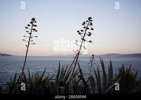 Erminion. Peleponese peninsula. Egean Sea, Mediterranean. Greece (Hellas), Europe. Stock Photo