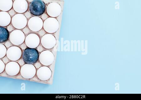 A lot of white eggs and a few painted in blue are in the container on the light blue background. Top view. Easter concept. Copy space. Stock Photo