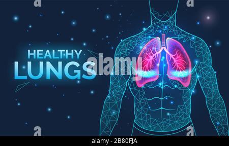 Healthy lungs, respiratory system, disease prevention, banner with human body organs, anatomy, breathing and healthcare, vector illustration. Stock Vector