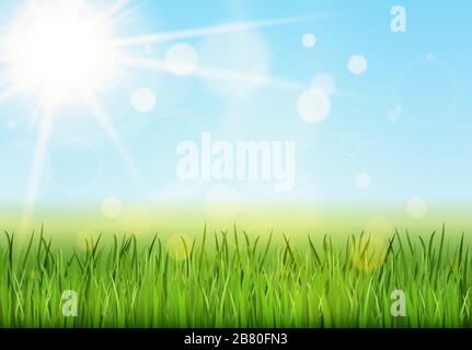 eps vector background template file of panorama green summer grass on lower side for summer or spring designs Stock Vector