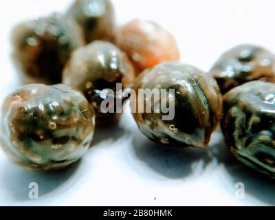 A picture of papaya seeds Stock Photo