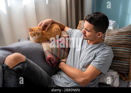 Young man sitting on a sofa caresses a tabby cat lying on the back of the sofa. Under the window light Stock Photo
