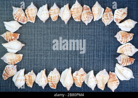 Frame made ​​of shells on the jeans. Stock Photo