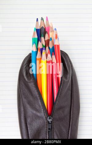 Leather pencil case and pencils on paper in the lineup. Stock Photo