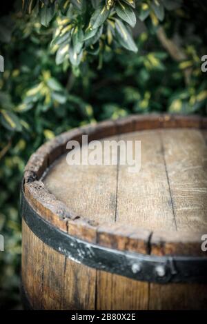 Old wooden barrel as a table with space for an advertising product. Green plants garden background. Stock Photo