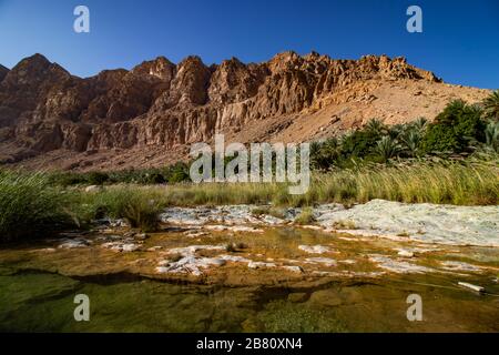 Inside the narrow canyon of Wadi Tiwi at Shab near Mascat in Oman Stock Photo