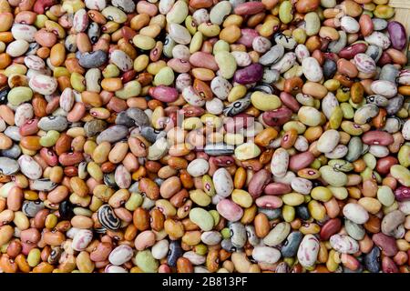 RWANDA, Musanze, Ruhengeri, village Busogo, people wash carrots before ...