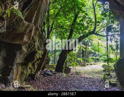 View from inside cave looking out into sunlit path and forest. Hanibe caves complex, Komatsu, Ishikawa Prefecture, Japan. Stock Photo
