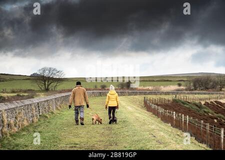 Owners taking their pet dogs walking on top of the dam wall of Colliford Lake on  Bodmin Moor in Cornwall. Stock Photo