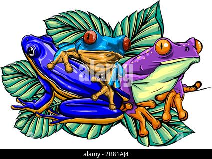 Frog cartoon tropical animal cartoon nature icon funny and isolated mascot character wild funny forest toad amphibian illustration. Stock Vector