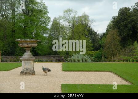 Dyrham Park. Late 17th-century mansion, garden and deer park Dyrham, nr Bath, Gloucestershire. Dyrham Park was also the film location for 'Remains of Stock Photo